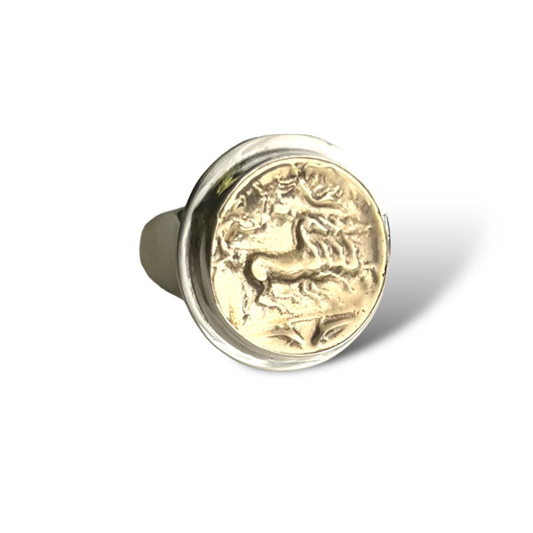 Mixed Metal Coin Ring